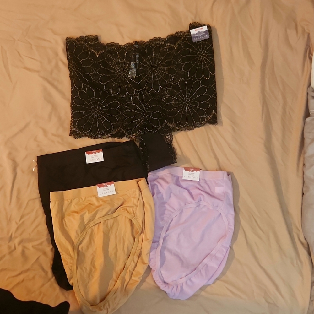 4 plus size no show panties